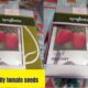 Tomato Seeds ,Janak Seed,Abhijeet Seeds