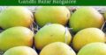 All type Mango Supplier in Gandhi Bazar Bangalore