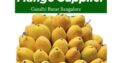 All type Mango Supplier in Gandhi Bazar Bangalore