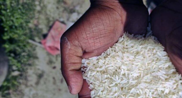 Bardhaman Basmati Rice | I sale and supply a lot of rice all over india.