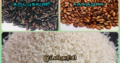 Traditional rice varieties and copper coconut for sale grown in organic farming . Rice Seller