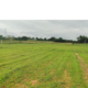 AGRICULTURE LAND AT VELDANDA , MG COLONY THANDA