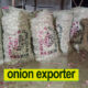Onion exporter in maharashtra | Domestic Onion supplyer Quality Guarantee near me