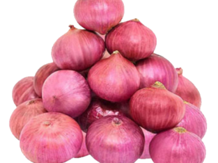 onion whole in west bengal || Farmer Producer Company Ltd