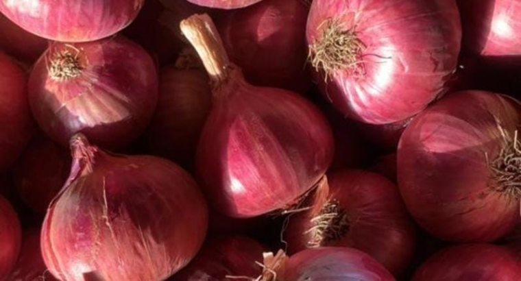 Nashik onion supplier | DIYA TRADING COMPANY
