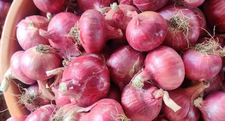 Nashik onion supplier | DIYA TRADING COMPANY