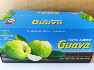 All india Guava Suppliers | organic guava juice suppliers | Om Gurudev Packers